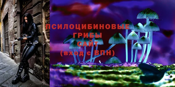 молекула духа Баксан