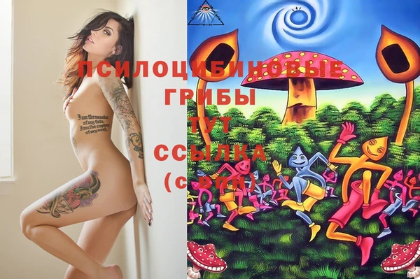 spice Балабаново