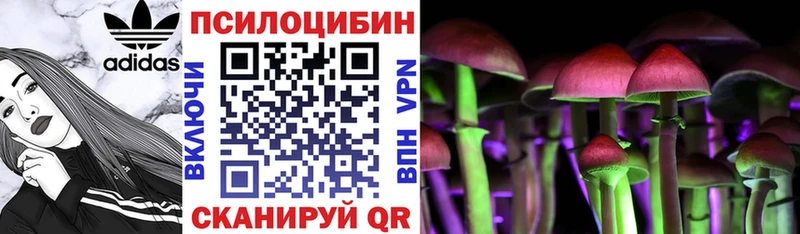 Галлюциногенные грибы мицелий  Плёс 